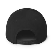 No Saints Young Sinners Green Black Snapback Hat - Black / One size